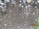 image of grave number 711221